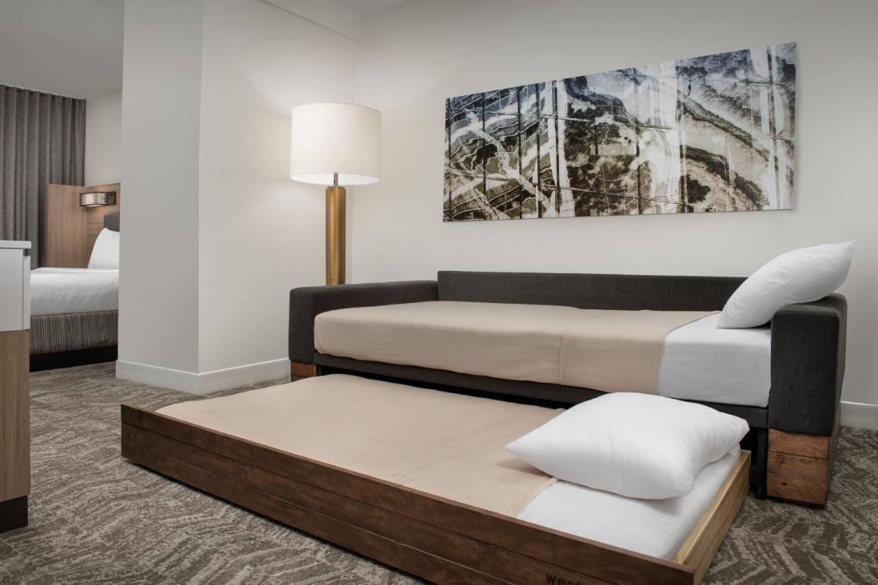 Springhill Suites By Marriott Atlanta Buford/Mall Of Georgia Ngoại thất bức ảnh