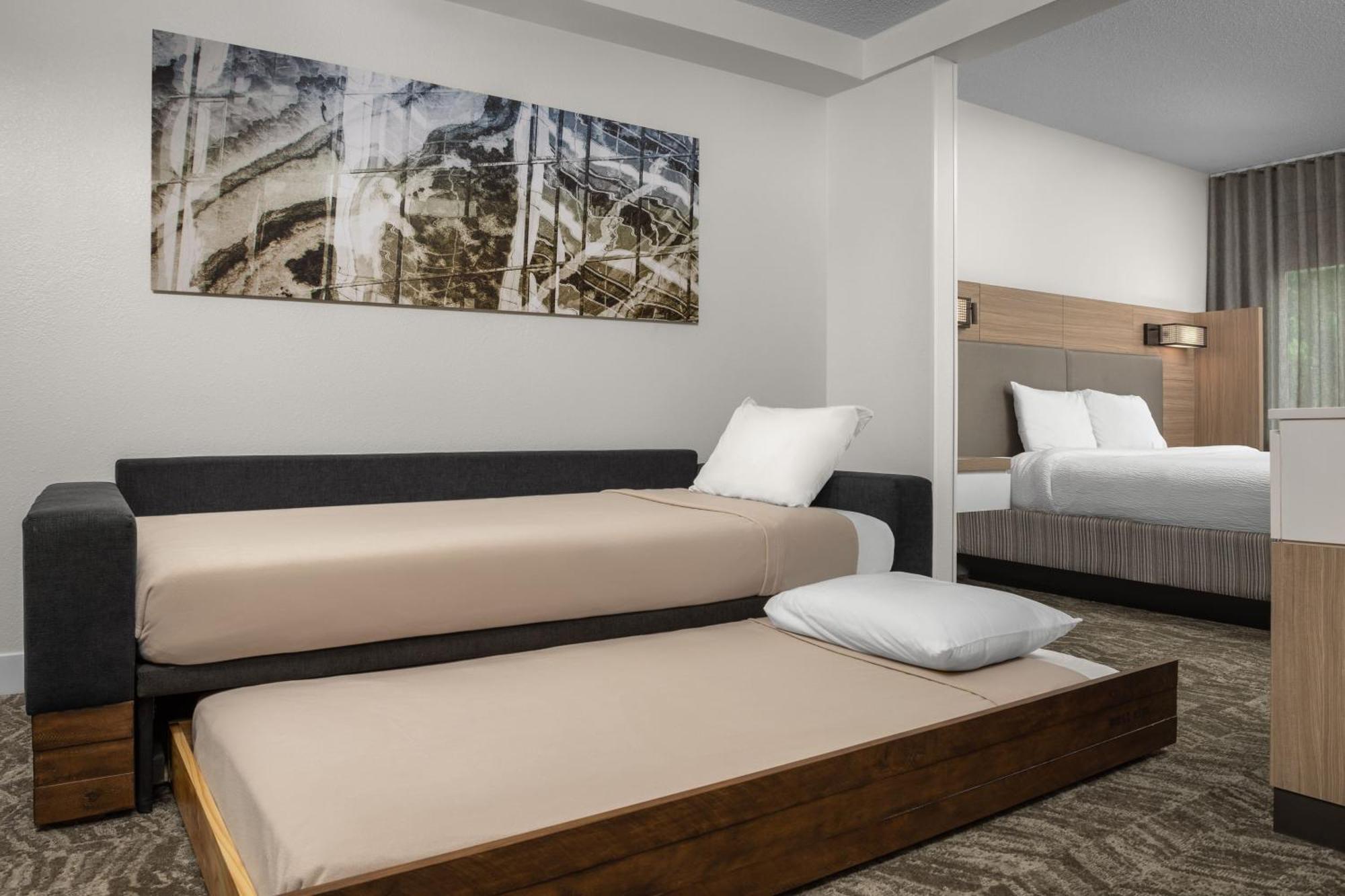 Springhill Suites By Marriott Atlanta Buford/Mall Of Georgia Ngoại thất bức ảnh